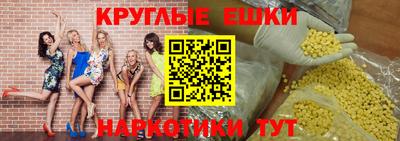 дживик Кингисепп