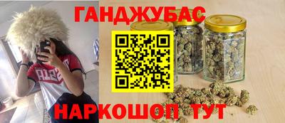 дживик Кингисепп