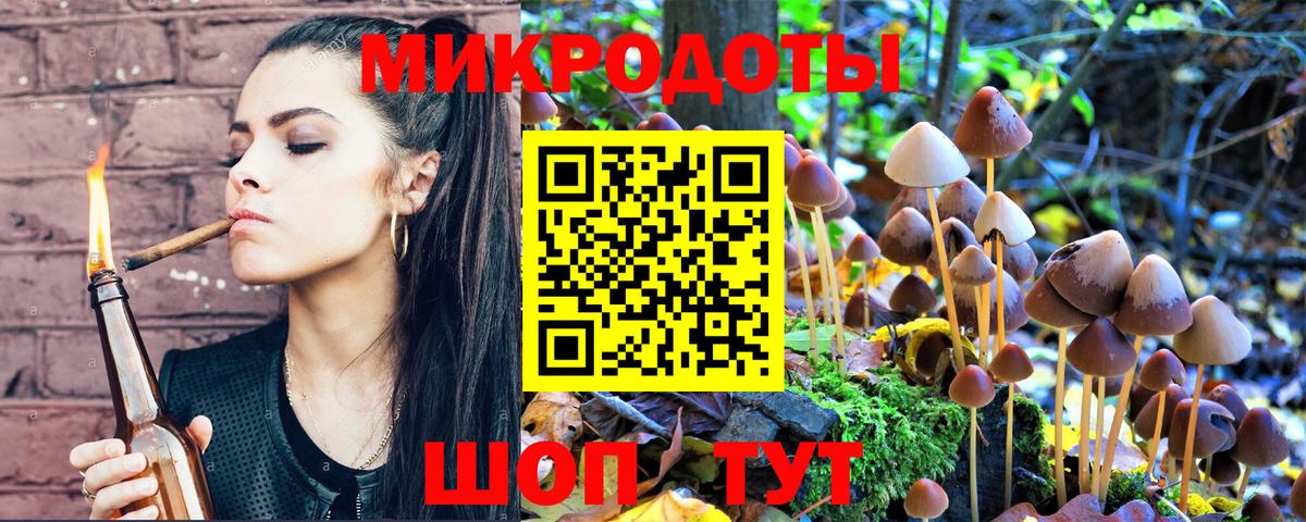 Коряжма  Галлюциногенные грибы мухоморы  купить закладку  Вход с VPN 