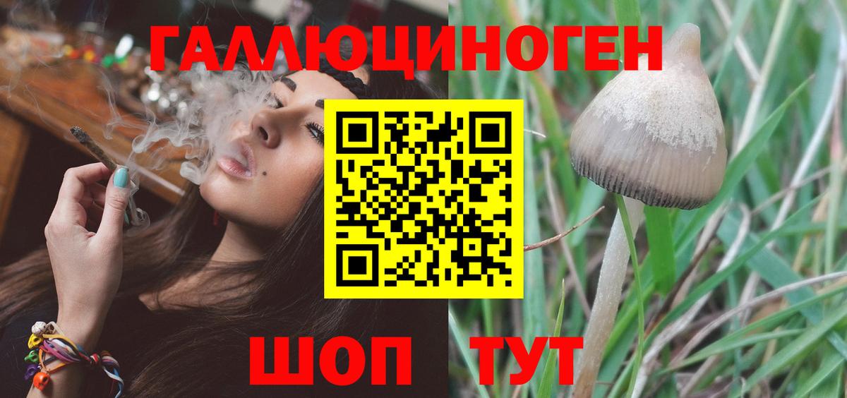 Псилоцибиновые грибы ЛСД Коряжма